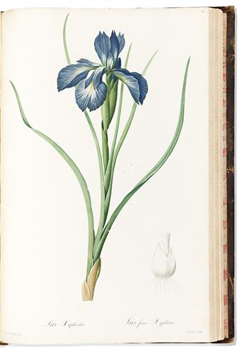 (BOTANICAL.) Pierre-Joseph Redouté. Les Liliacées (volumes 3 and 4).